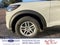 2027 Ford Explorer Base